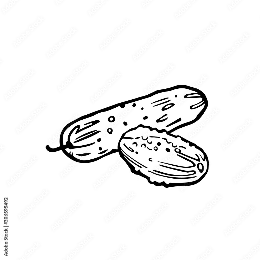 Cucumbers line art. Traditional hand drawing. Cartoon style. Black