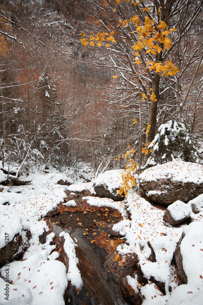 Ordesa National Valley in snowy autumn, located in Pyrenees Spain Ordesa National Valley in snowy autumn, located in Pyrenees Spain