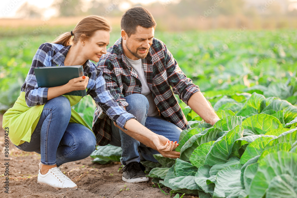 Agricultural engineers working in field Agricultural engineers working in field