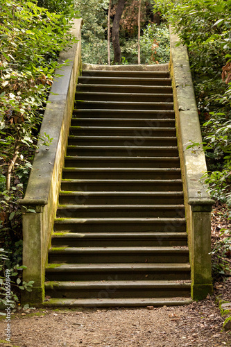 Stone stairs in the park