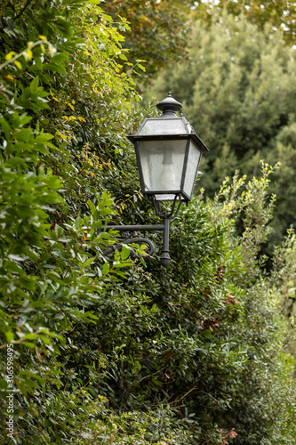 Close-up street lamp in the bushes