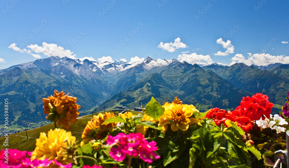 Blumen auf der Schmittenhöhe in Zell am See