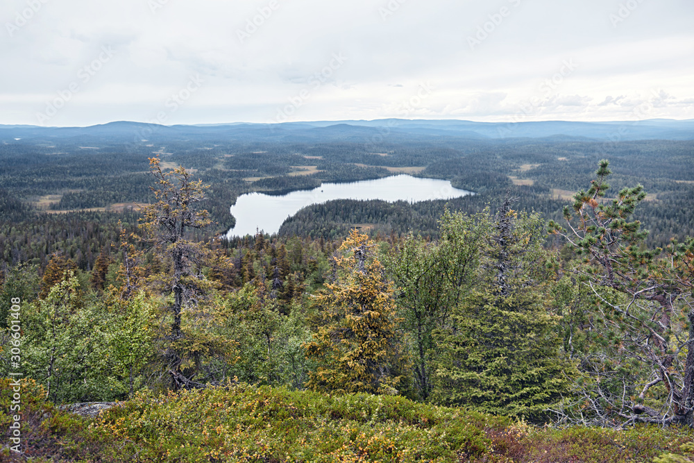 View from Mount Kivakkatunturi (Kivakka) to Lake Kivaklampi. Summer landscape