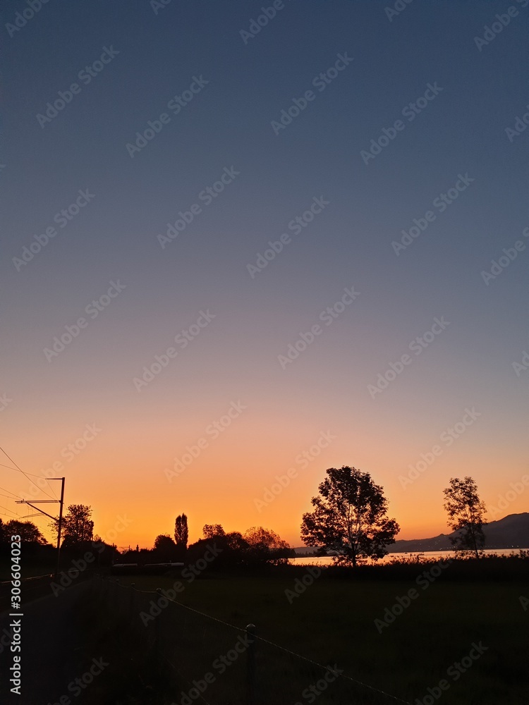Fototapeta premium Trees silhouette in the bright evening red with the outlines of the wide landscape. space for text