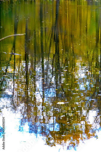 Like a painting: Beautiful shadowy reflections of tall green, brown and orange trees, blue sky and white clouds in the ripples of a pond 