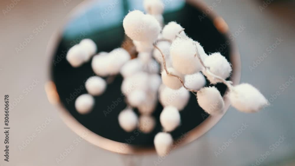 beautiful white decoratin on the cofee table beautiful white decoratin on the cofee table