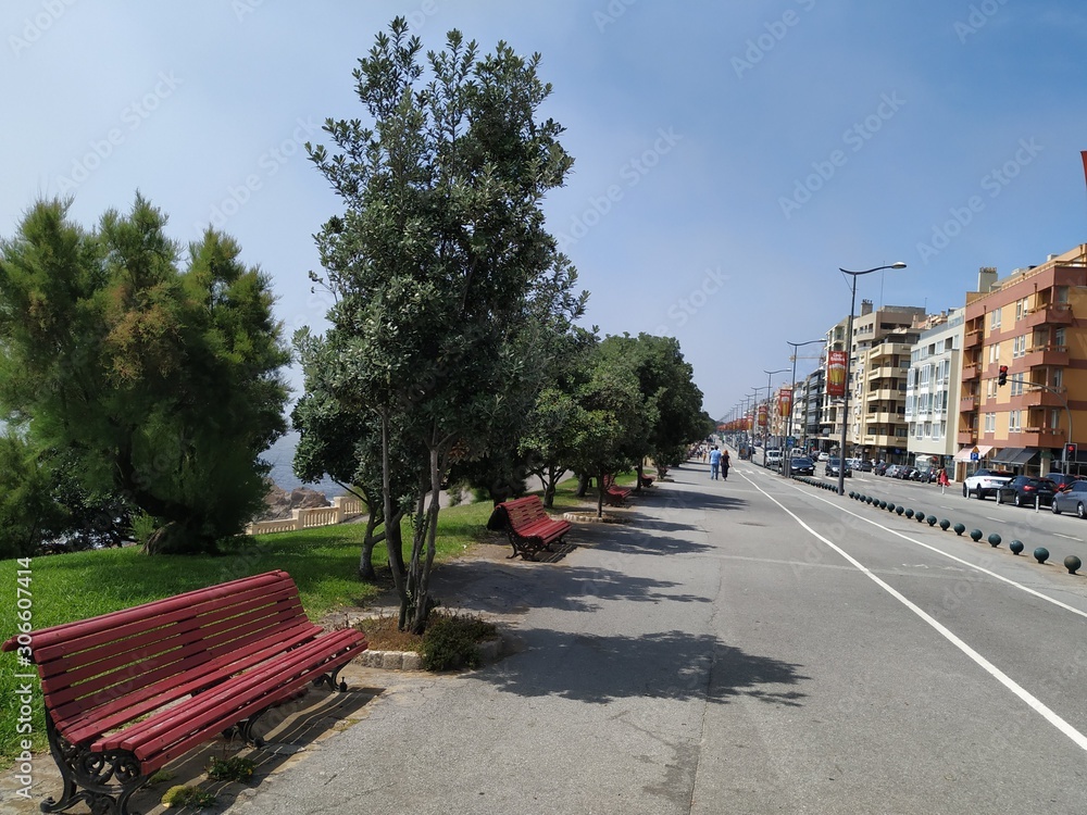 Avenida de cidade com ciclovia, parque em um lado e prédios a outro