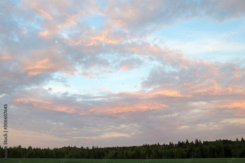 Fototapeta premium sunset in nature