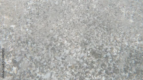 Colorful seashells and rocks underwater photo