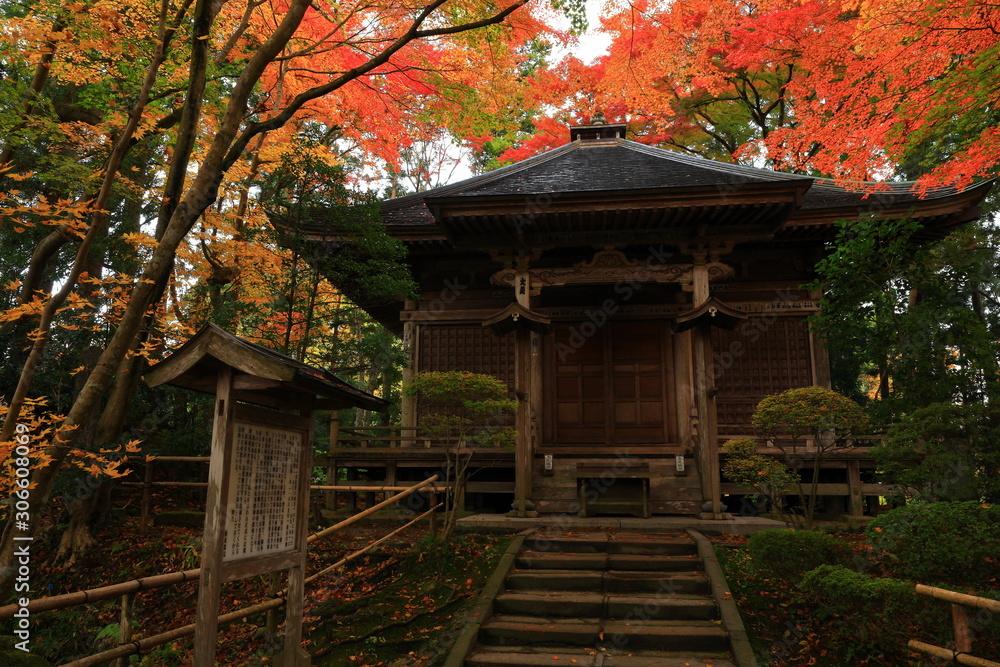 世界遺産　紅葉の中尊寺