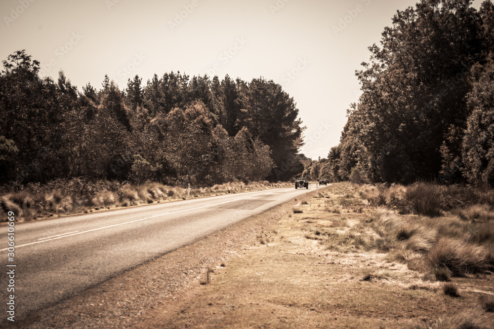 Tasmanian road in winter forest through Tarkine region Tasmanian road in winter forest through Tarkine region