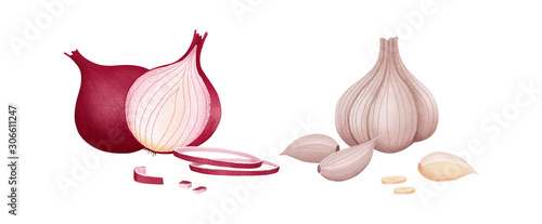 Red onion of cut and whole. Fresh organic garlic and onion isolated on white background. Vector illustration