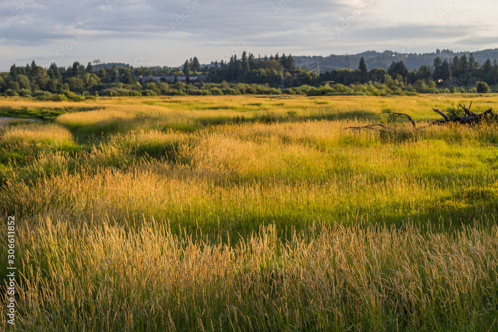 Obraz premium Tualatin River National Wildlife Refuge