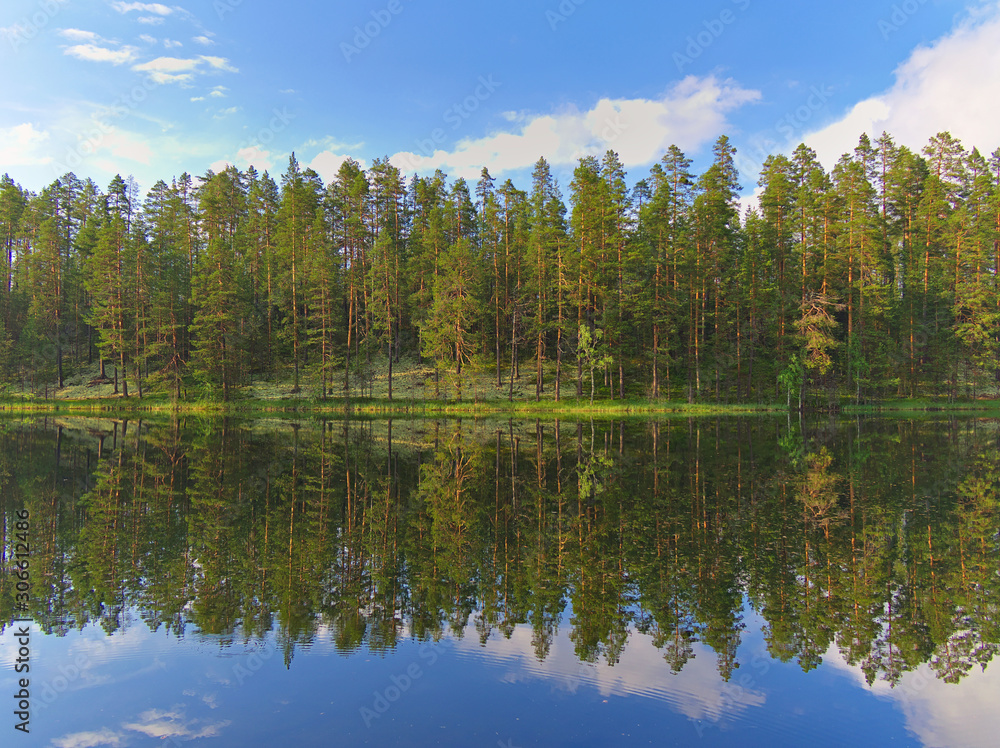 Pine forest mirrored on the surface of small lake in Finland