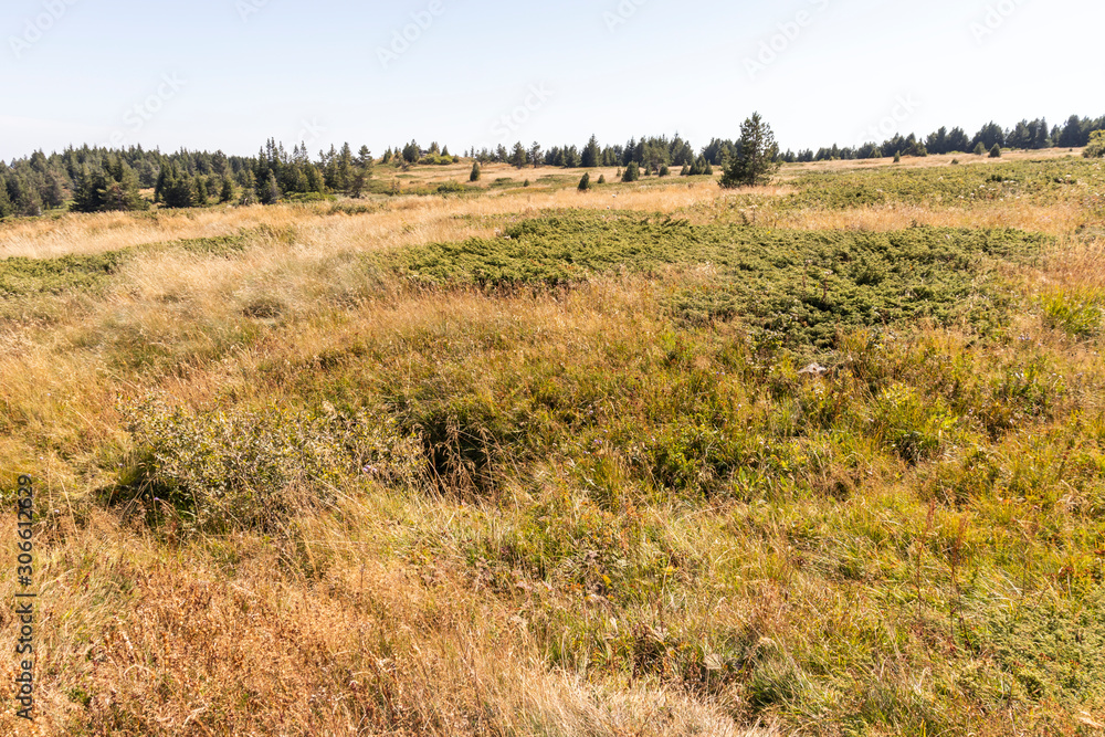 Autumn Panorama of Vitosha Mountain, Bulgaria