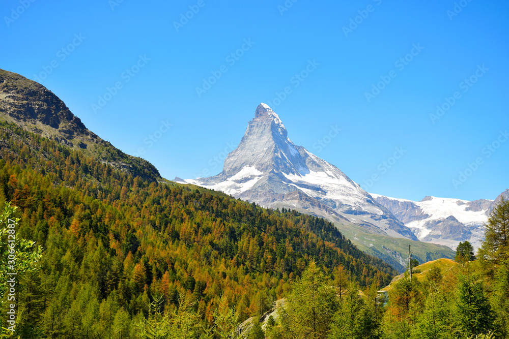 Fototapeta premium Gorgeous Matterhorn with a green and orange forest and a clear blue sky, Zermatt, Switzerland