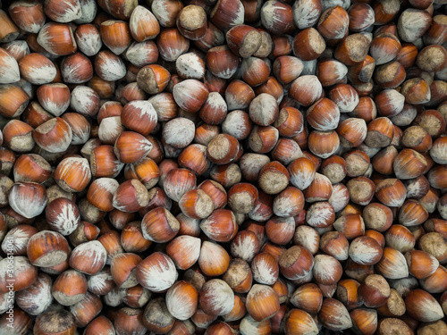  It's autumn and time to harvest hazelnuts