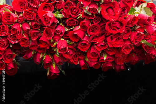 Several red roses wallpaper background 