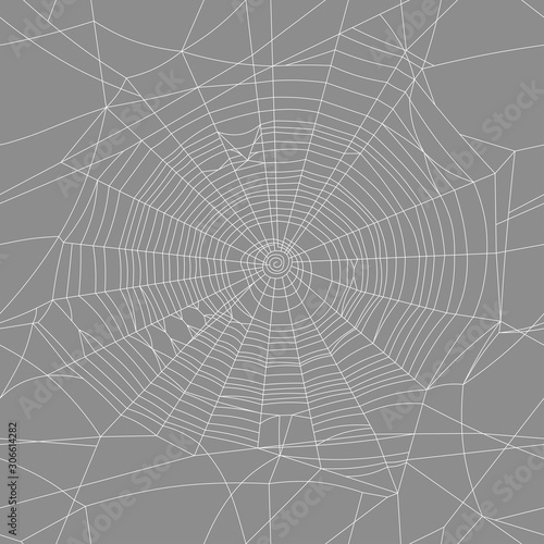  spider web seamless vector texture