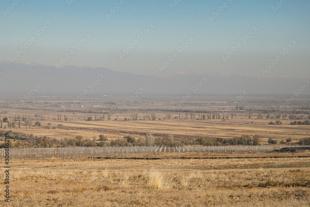 Autumn steppe . Yellow grass. Landscape. In the distance you can see the planted garden.