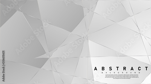 Modern abstract light silver background vector. Elegant concept design with line.Vector Illustration For Wallpaper, Banner, Background, Card, Book Illustration, landing page