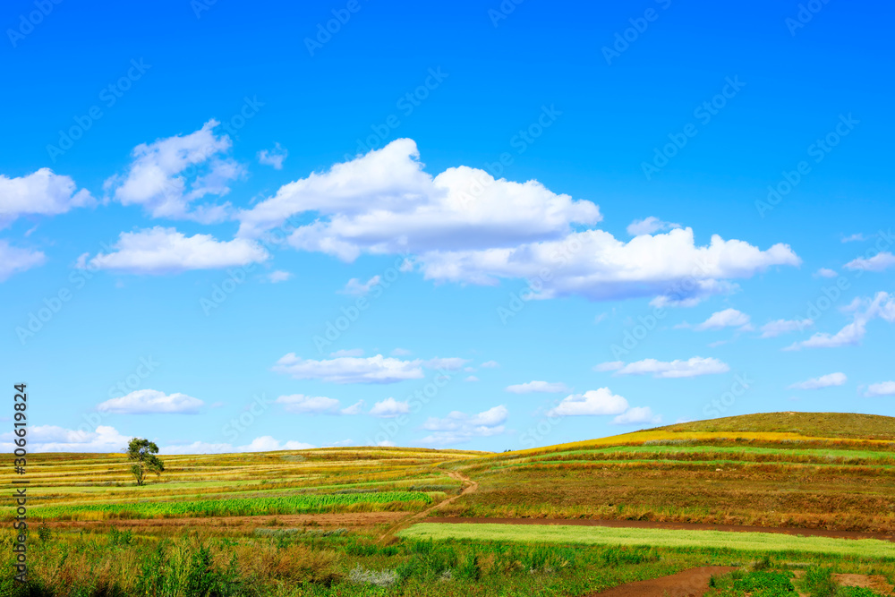 The beautiful scenery of the grassland