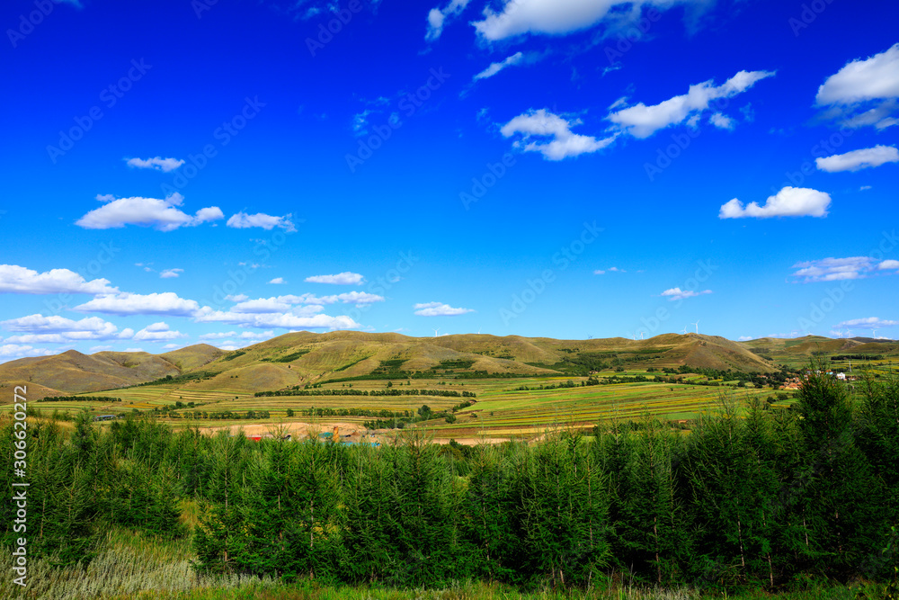 The beautiful scenery of the grassland The beautiful scenery of the grassland