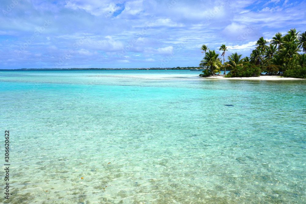View of a tropical landscape with palm trees, white sand and the turquoise lagoon water in Bora Bora, French Polynesia, South Pacific View of a tropical landscape with palm trees, white sand and the turquoise lagoon water in Bora Bora, French Polynesia, South Pacific