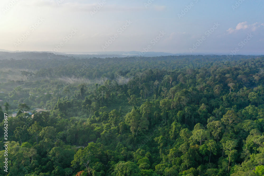 Aerial view of Tropical Rainforest in Malaysia