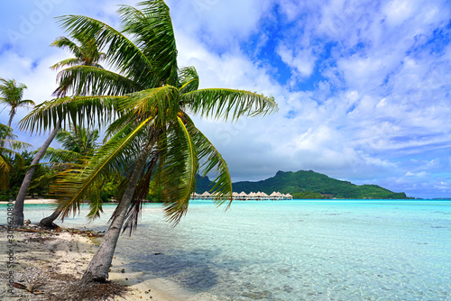 View of a tropical landscape with palm trees, white sand and the turquoise lagoon water in Bora Bora, French Polynesia, South Pacific