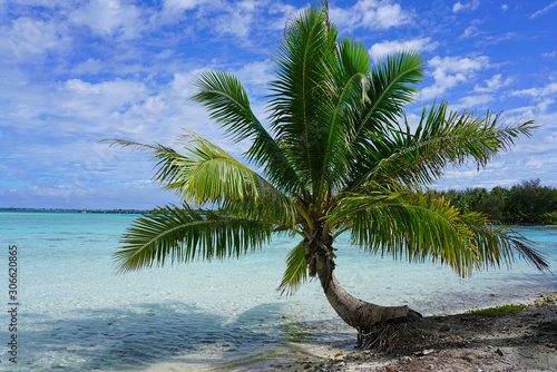 Fototapeta Naklejka Na Ścianę i Meble -  View of a tropical landscape with palm trees, white sand and the turquoise lagoon water in Bora Bora, French Polynesia, South Pacific