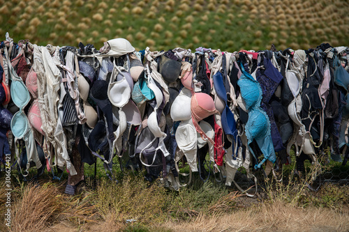Quirky Cardrona Bra Fence, New Zealand
