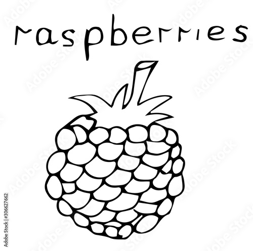 Raspberry icons on a beautiful background. Elements for your design. Hand drawn vector illustration.