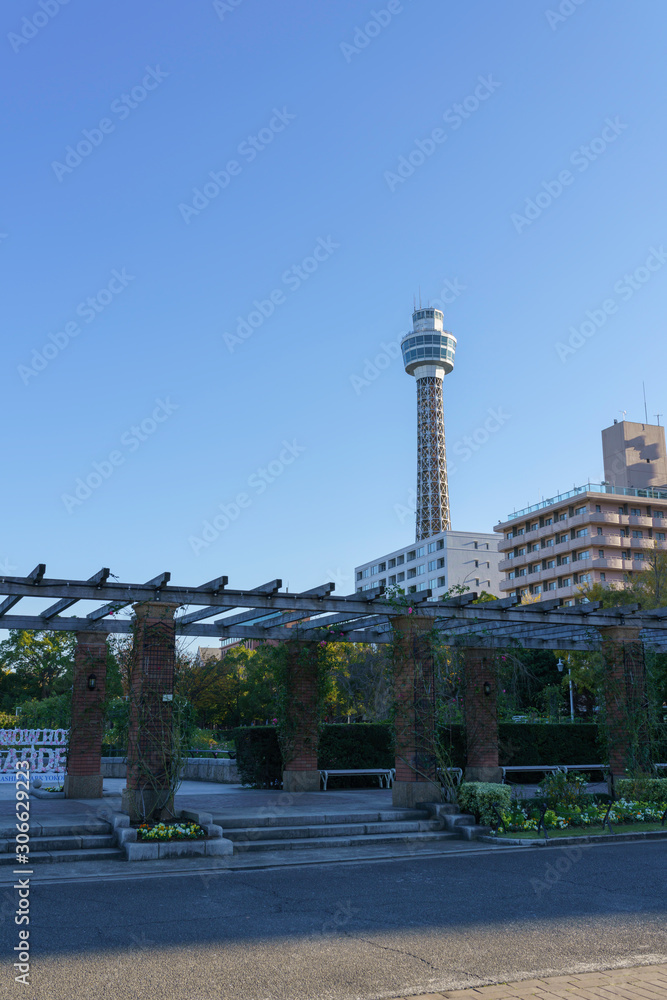 山下公園から見る横浜マリンタワー