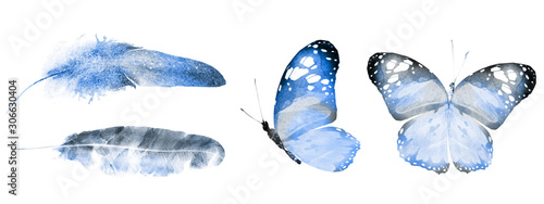Two watercolor butterflies and feathers, isolated on white background