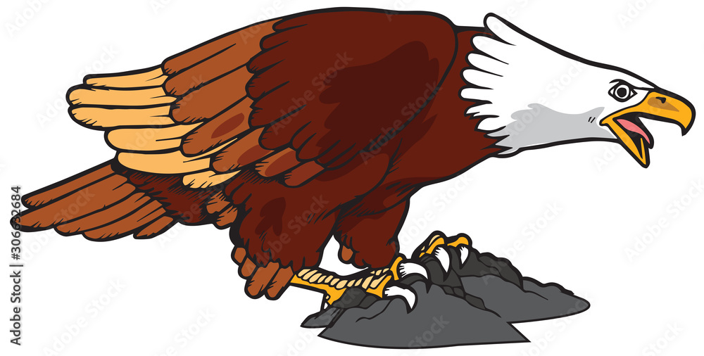 Obraz premium Eagle Vector Illustration