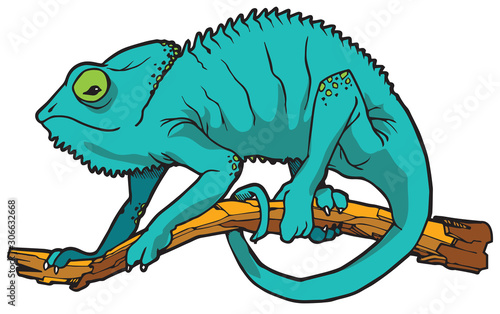 Chameleon Vector Illustration