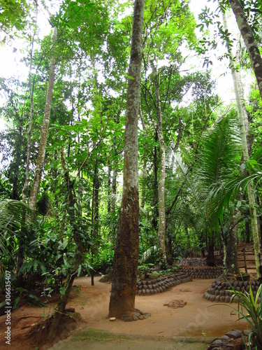 Spice garden close Kandy  Sri Lanka