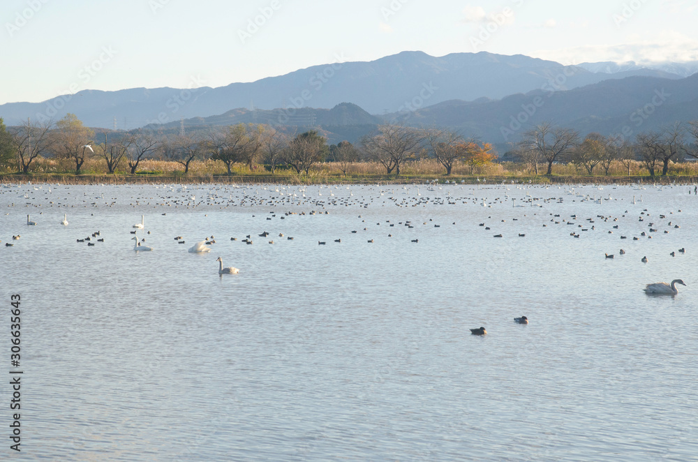 Landscape of Lake Hyoko in Niigata prefecture, Japan