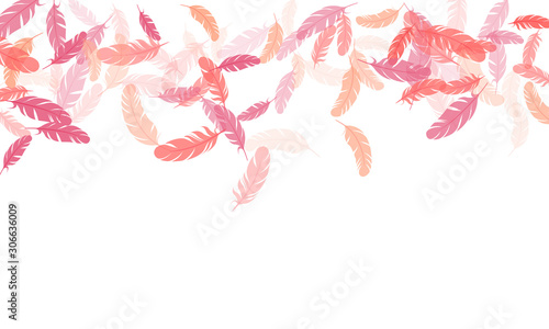 Fluffy twirled feathers on white design.