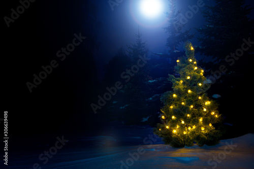 Decorated christmas tree outdoor with christmas lights with moon