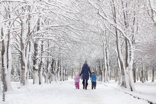 Snow-covered winter park and benches. Park and pier for feeding ducks and pigeons.Family on a walk in the snow covered the park.