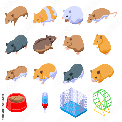 Hamster icons set. Isometric set of hamster vector icons for web design isolated on white background