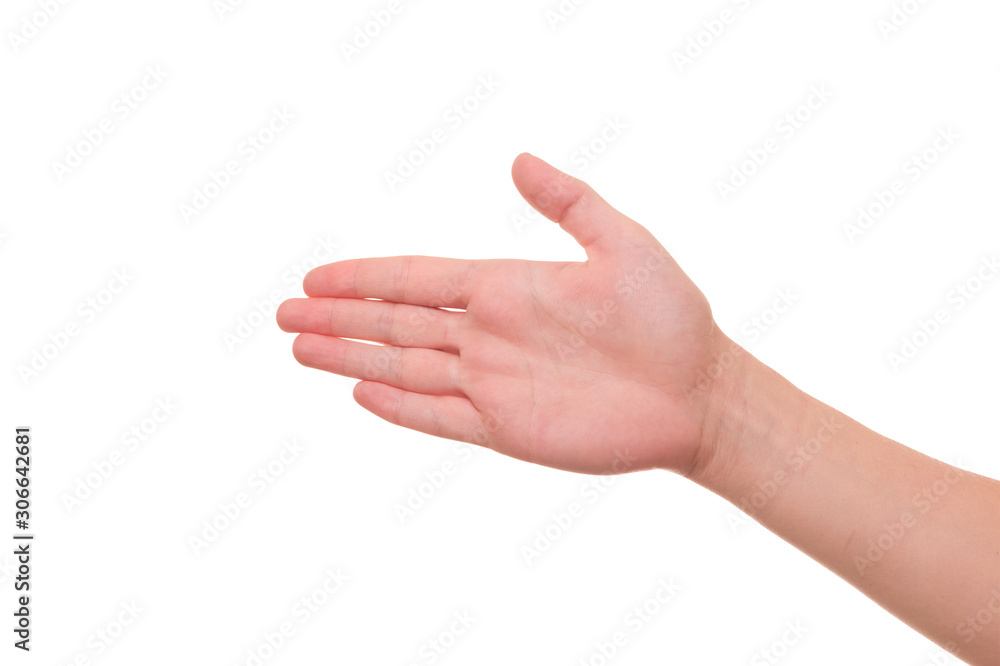 hand isolated on white background hand isolated on white background