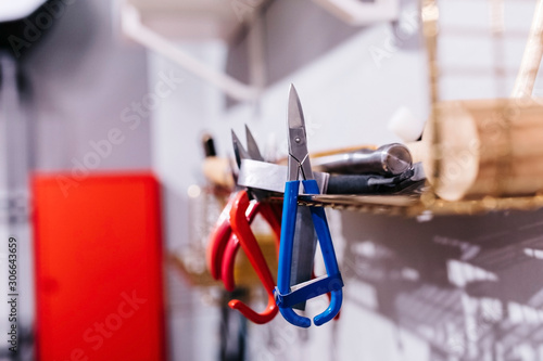 a group of pincers at a shelf. 'do it yourself' tools 