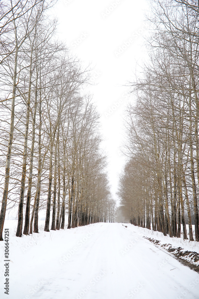 Winter landscape of country fields and roads Winter landscape of country fields and roads