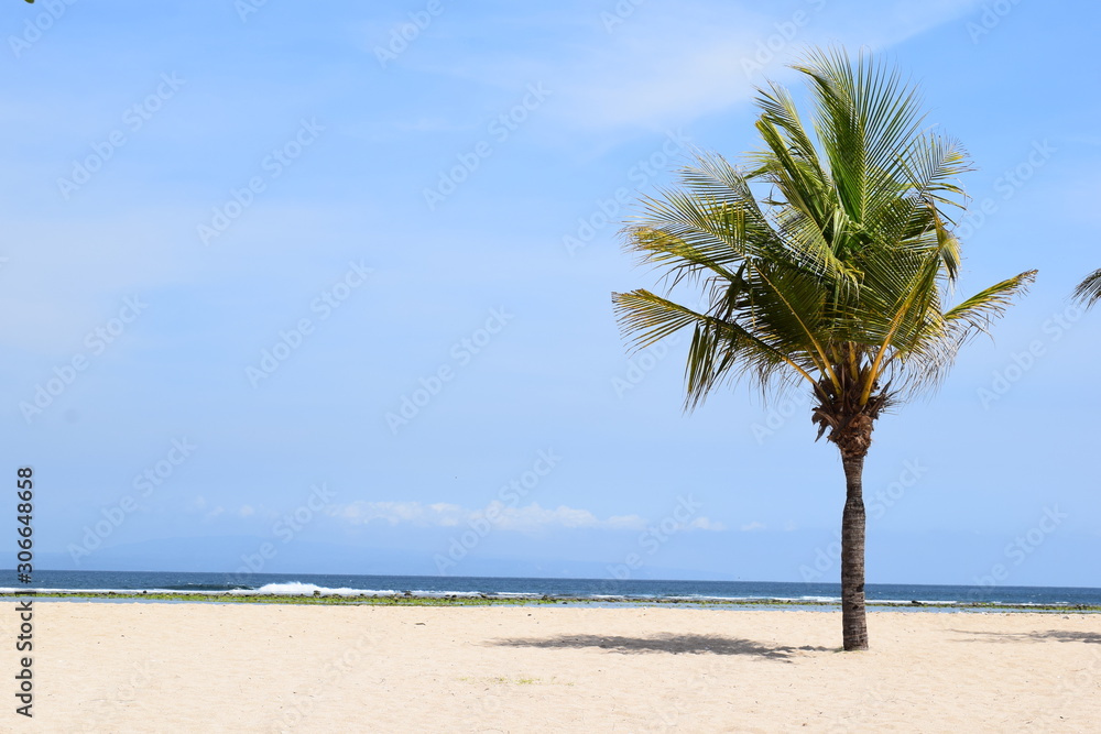 panorama tropicale su una spiaggia a bali, in Indonesia