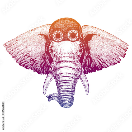 African or indian Elephant wearing vintage aviator leather helmet. Image in retro style. Flying club or motorcycle biker emblem. Vector illustration, print for tee shirt, badge logo patch