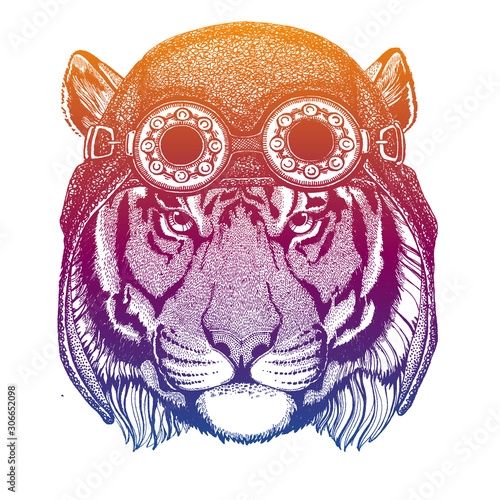 Wild tiger wearing vintage aviator leather helmet. Image in retro style. Flying club or motorcycle biker emblem. Vector illustration, print for tee shirt, badge logo patch