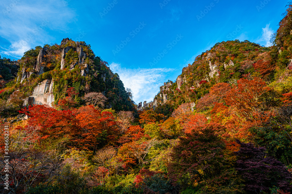 autumn leaves in the mountains, yabakei, oita, japan autumn leaves in the mountains, yabakei, oita, japan